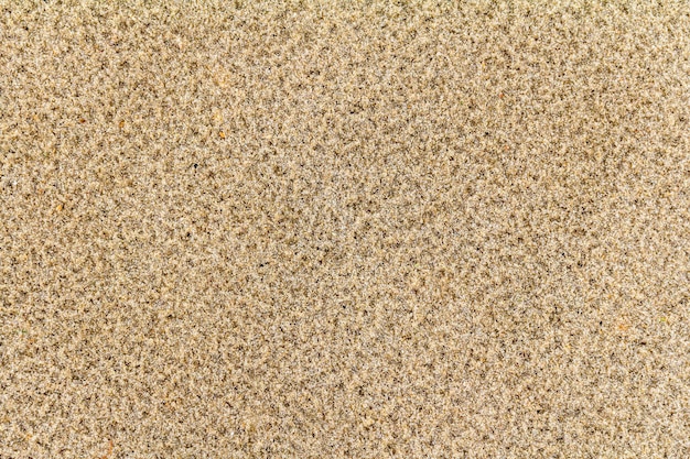 sand closeup