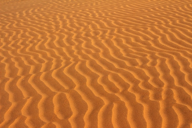 Sand in desert ripple background