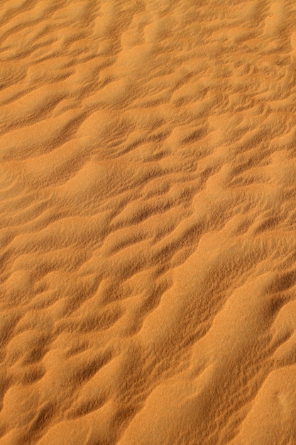 Sand desert texture background