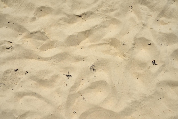 Песок в пустыне с узором от ветра в качестве фона