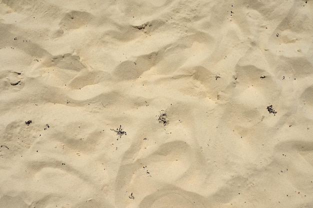 Sand in the desert with a pattern from the wind as a background