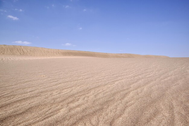 Sand in the dry desert on a sunny day against a blue sky