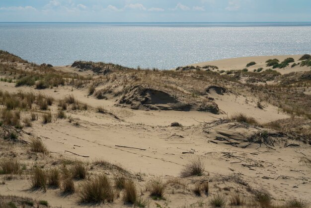 写真 晴れた夏の日の砂丘とバルト海、クルシュー砂州カリーニングラード地方ロシア