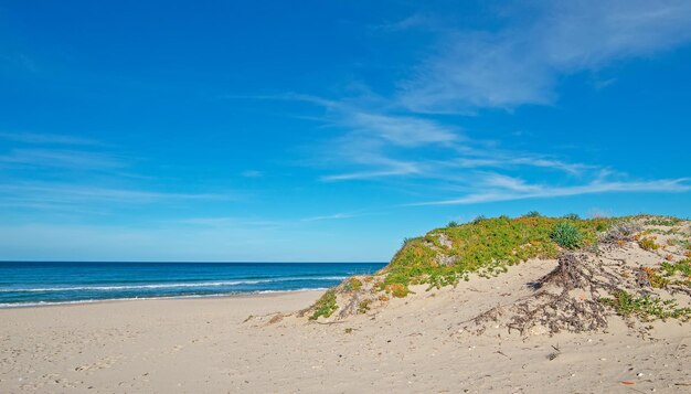 Sand dune by Platamona shore