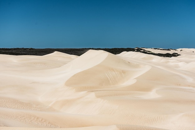 Foto dune di sabbia nel deserto contro un cielo blu limpido