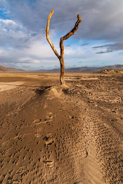 Photo sand dune in desert against sky