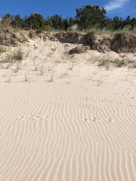 Foto dune di sabbia nel deserto contro il cielo