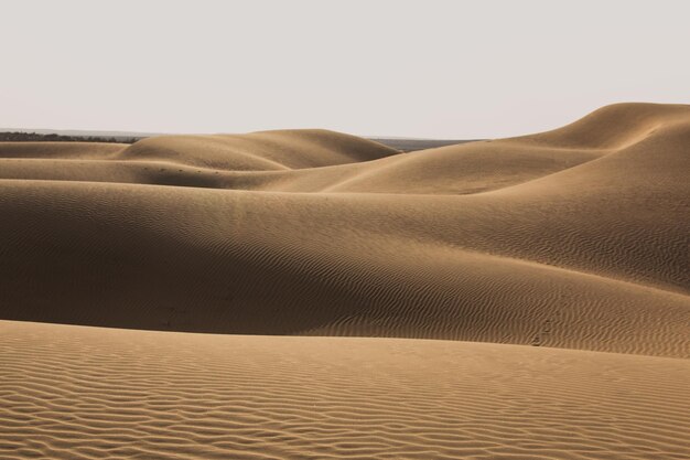 Foto dune di sabbia nel deserto contro il cielo