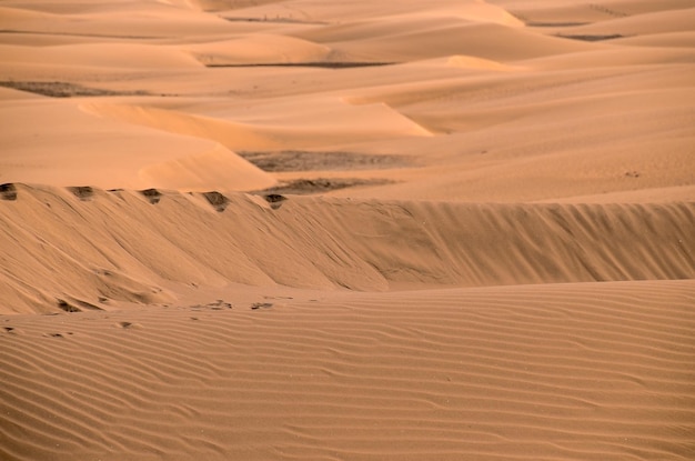 Sand Dune Desert in Maspalomas Gran Canaria Island Spain