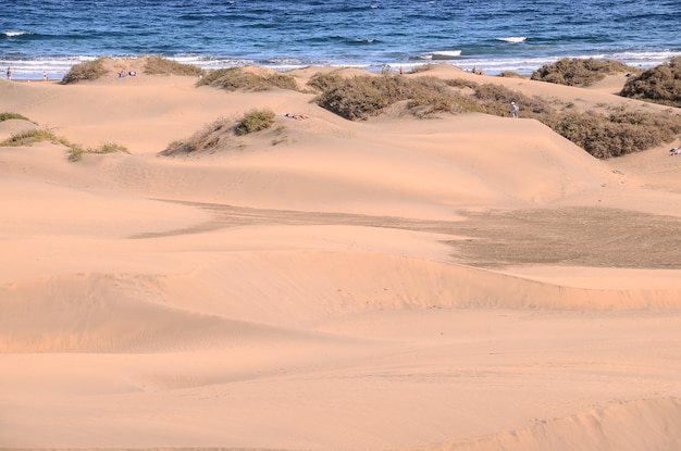 스페인 마스팔로마스 그란 카나리아 섬의 모래 언덕 사막