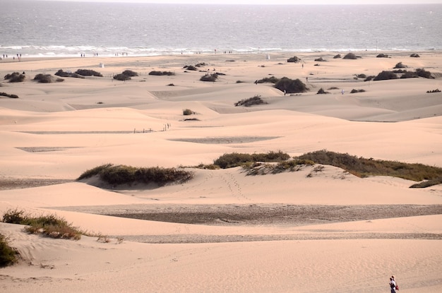 Sand Dune Desert in Maspalomas