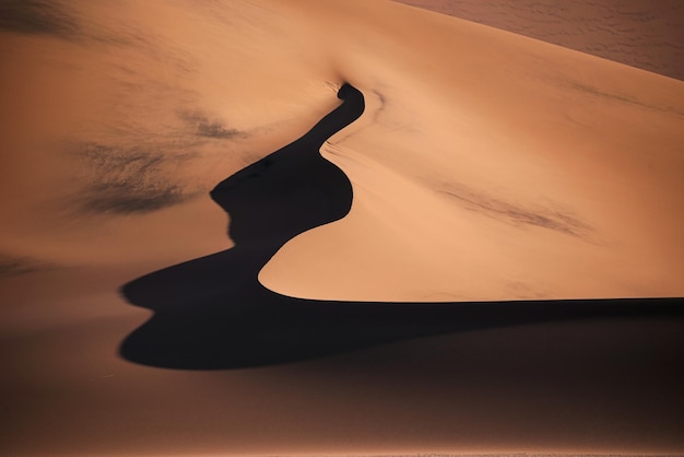 Photo sand dune in desert