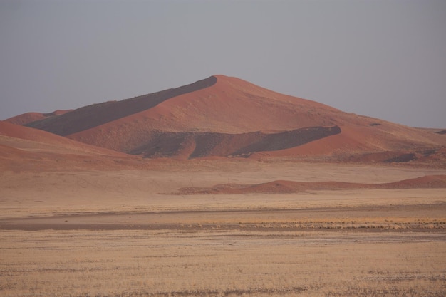 Foto una duna di sabbia in un deserto