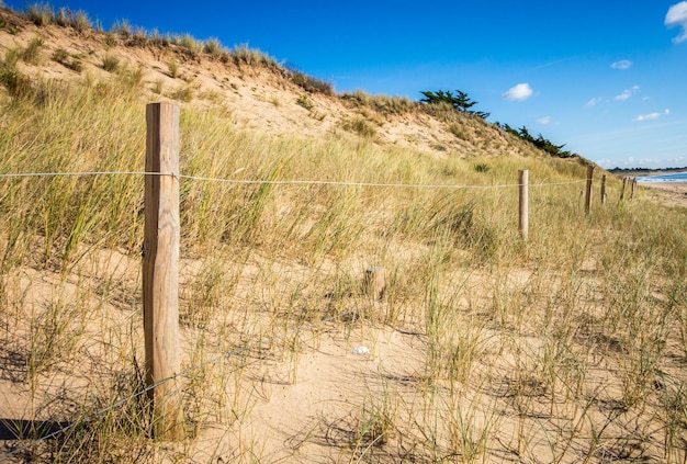 Sand dune and fence on a beach Re Island France Blue sky background