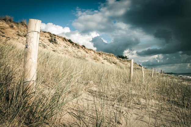 Песчаная дюна и забор на пляже, остров Ре, Франция. Облачный фон