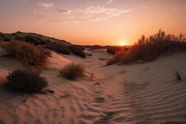 Photo sand dune field with the sun setting overhead casting a pink and orange glow