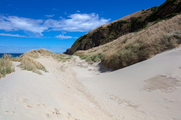 Sand dune at sandfly bay in new zealand