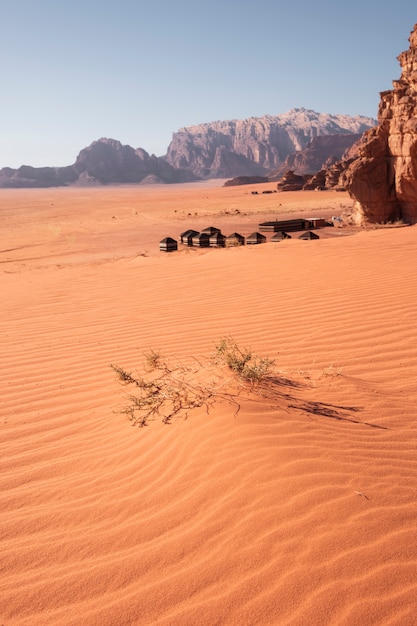 有名な赤い砂漠の背景のベドウィンのツーリストキャンプでとげのある砂丘