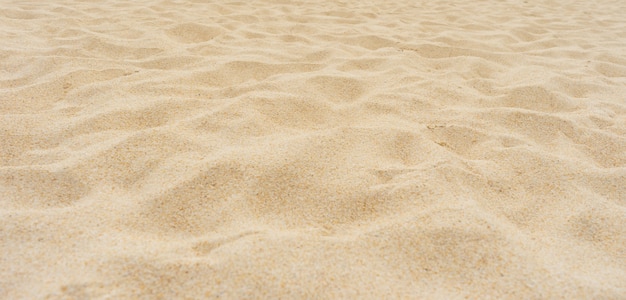 sand dune