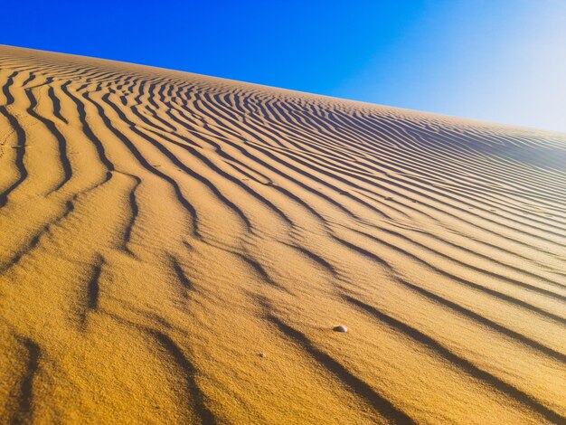 Sand dunes against clear sky