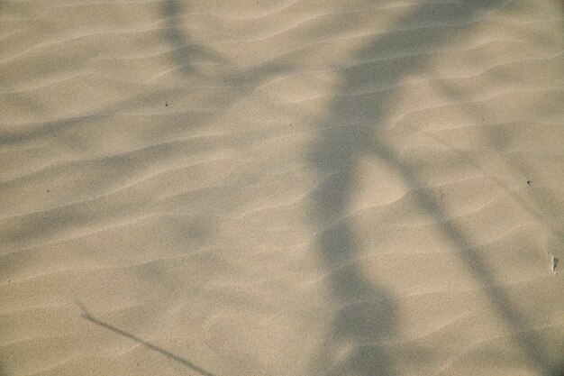 Sand dunes against the sunset light on the beach in thailandNatural background