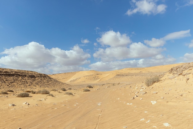 イスラエルのアラバ砂漠の砂丘