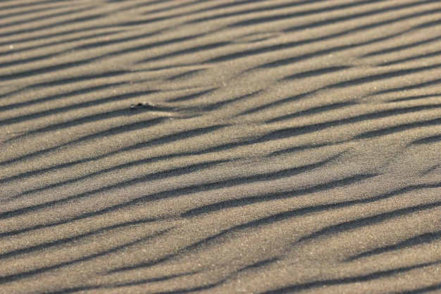 Sand dunes on the beach.
