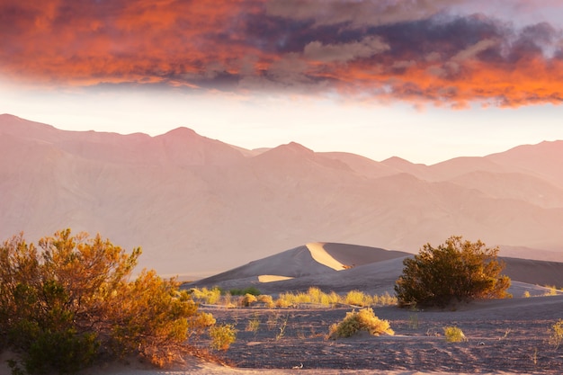 Sand dunes in California, USA. Beautiful nature landscape