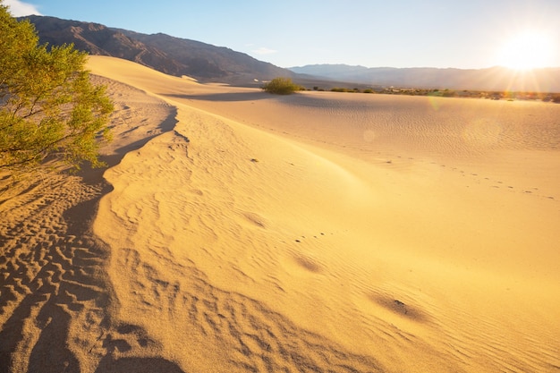 Sand dunes in California, USA. Beautiful nature landscape