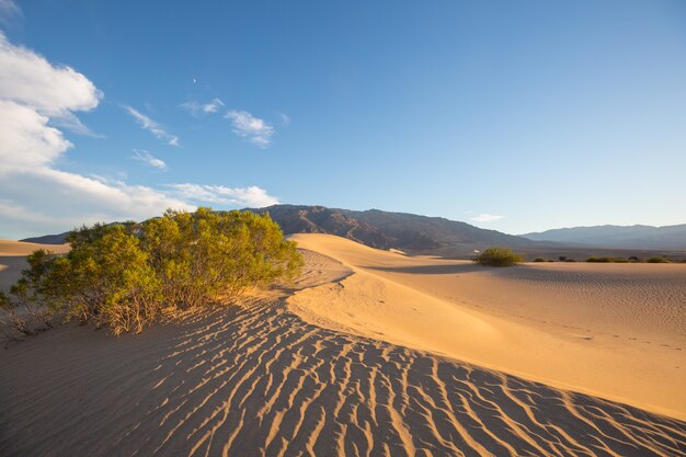 米国カリフォルニア州の砂丘。美しい自然の風景