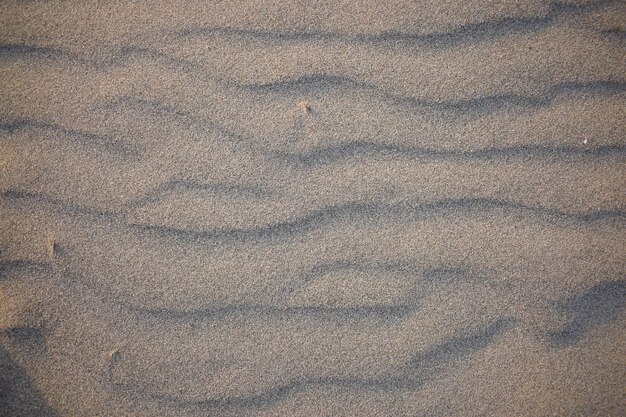 Sand dunes created by the wind Lay flat