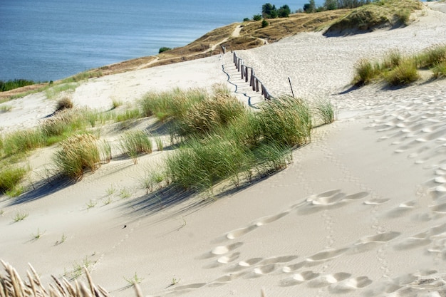 Photo sand dunes on the curonian spit near the town of nida. klaipeda, lithuania