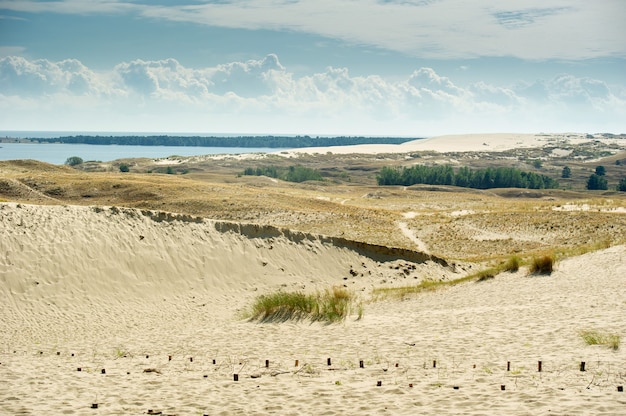 Photo sand dunes on the curonian spit near the town of nida. klaipeda, lithuania
