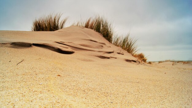 Sand dunes in desert against sky