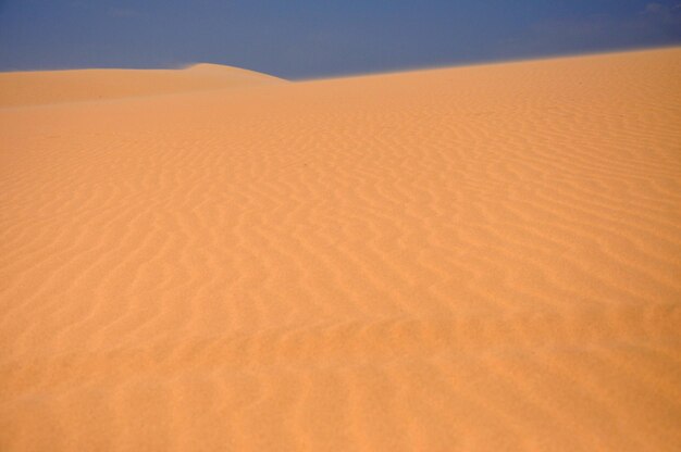 Sand dunes in the desert in a hot day