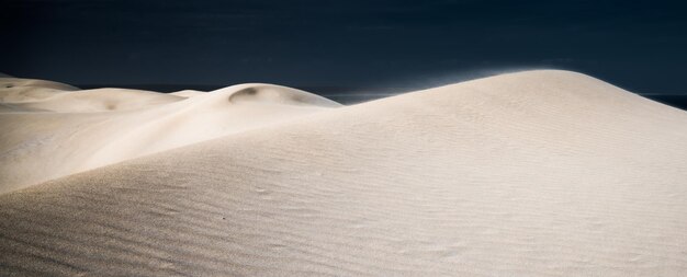 Photo sand dunes in a desert