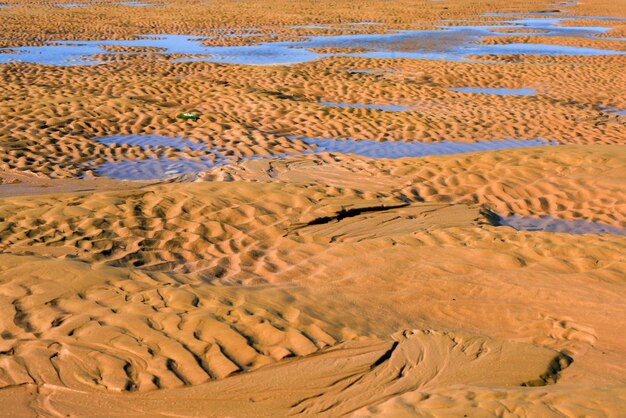 Foto dune di sabbia nel deserto