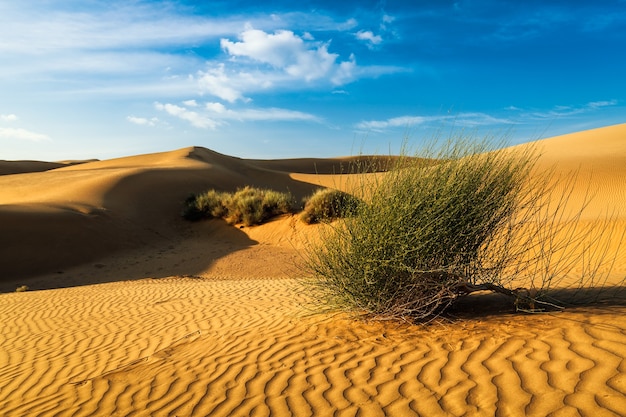 Sand dunes in desert