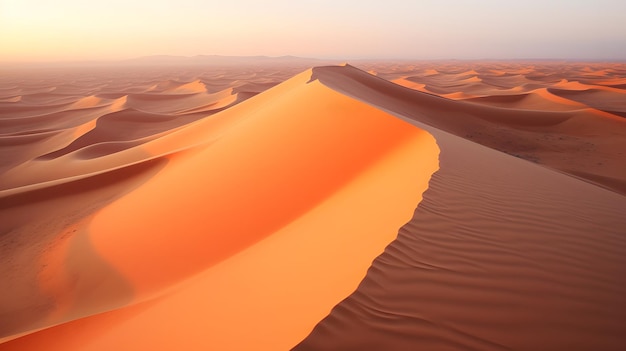 Sand dunes in the desert