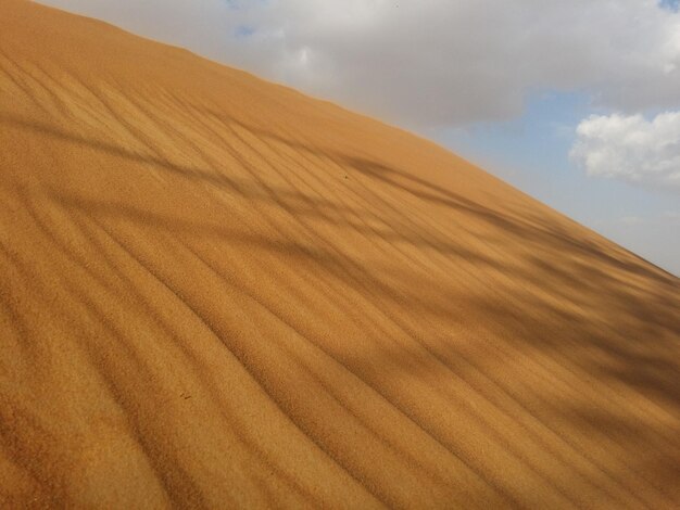 Sand dunes in the desert