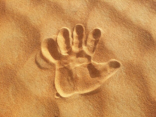 Foto dune di sabbia nel deserto