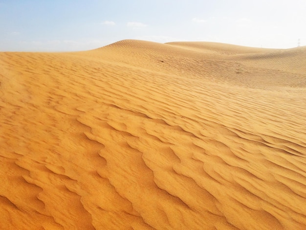 Sand dunes in the desert