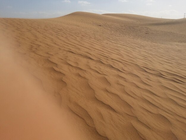 Sand dunes in the desert