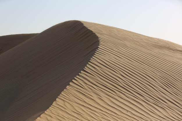 Sand dunes of dubai