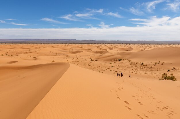 Sand Dunes of Erg Chebbi in he Sahara Desert