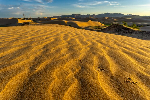 Sand dunes and footprint at sunset