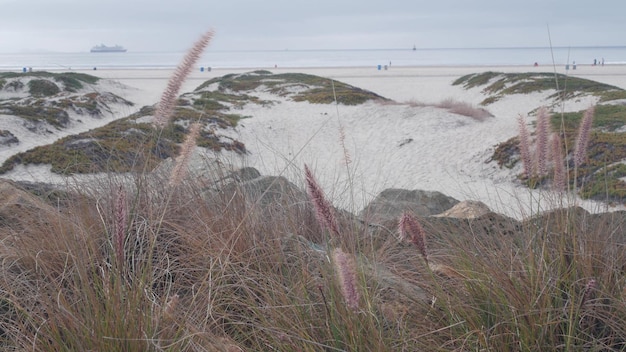 Sand dunes of misty coronado beach ocean waves in fog california coast usa