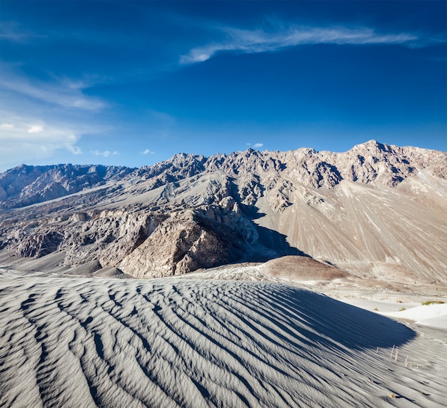 砂丘。ヌブラ渓谷、ラダック、インド