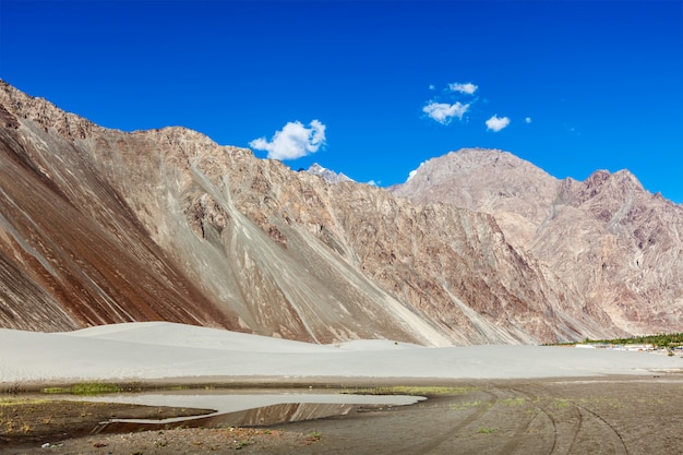 Sand dunes. Nubra valley, Ladakh, India