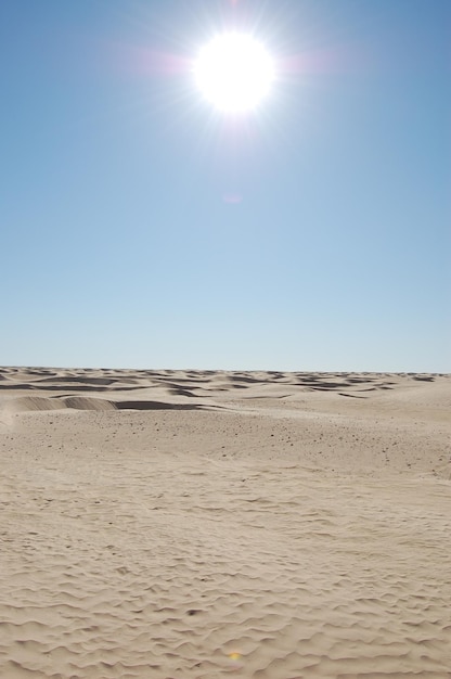 Песчаные дюны в пустыне сахара в африке